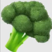 Вегетарианское